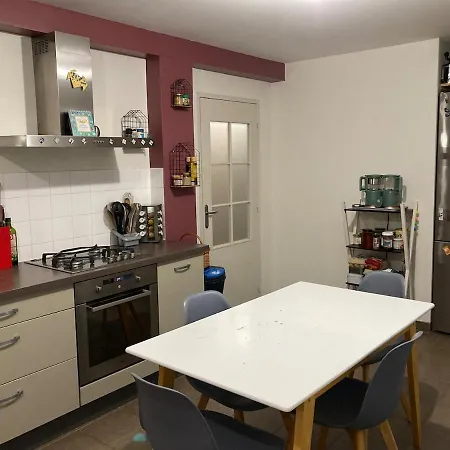 公寓 Familial Au Puy En Velay